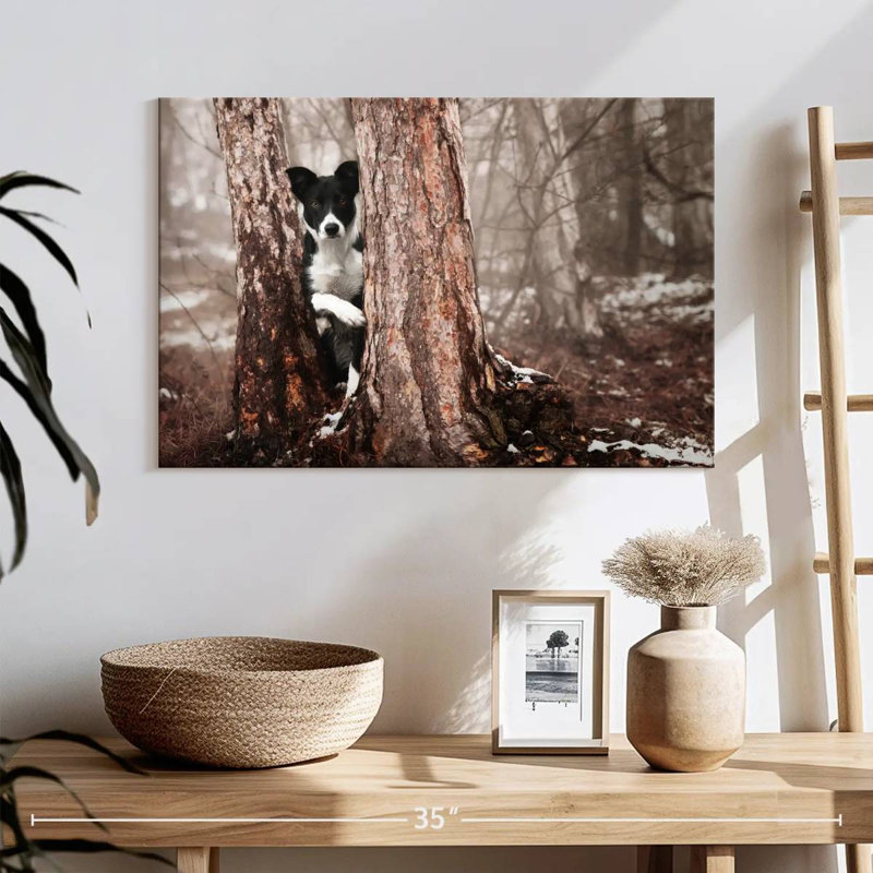 Border collie ludique, H 16 po x l 24 po