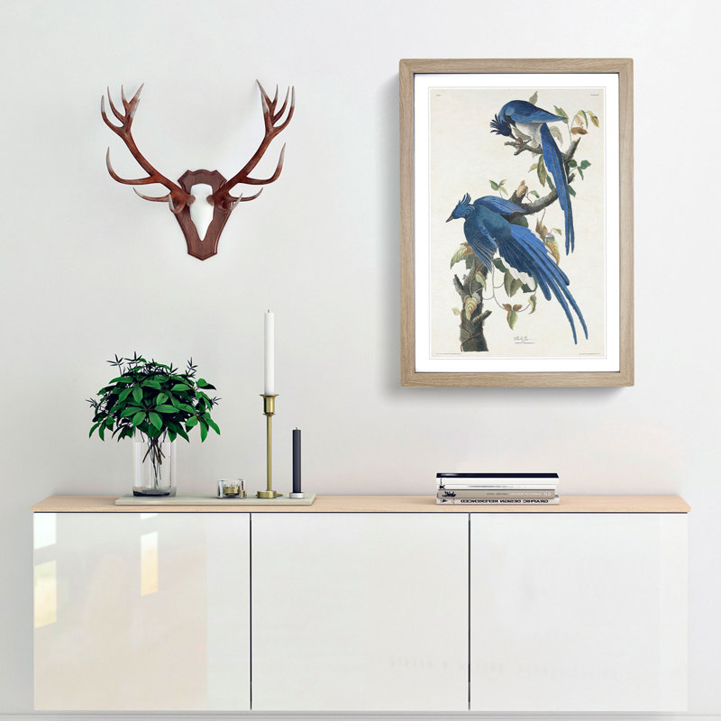 Columbia Jay by John Audubon - Picture Frame Painting, 48cm H x 36cm W x 2cm D, Oak Framed