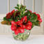 Amaryllis Magnolia Floral Arrangement in Vase