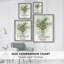 «Delicate Greenery I», reproduction encadrée - bois massif 46945-939489312