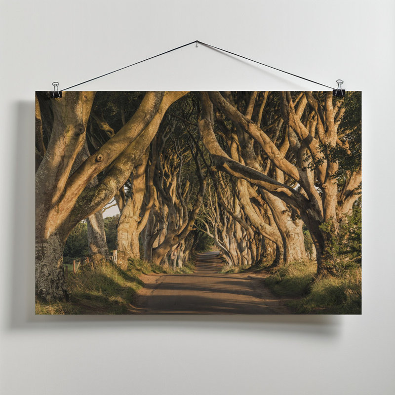 Wrapped Canvas Print, 81.28cm H x 121.92cm W