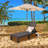 Shawhin Outdoor Metal Chaise Lounge
