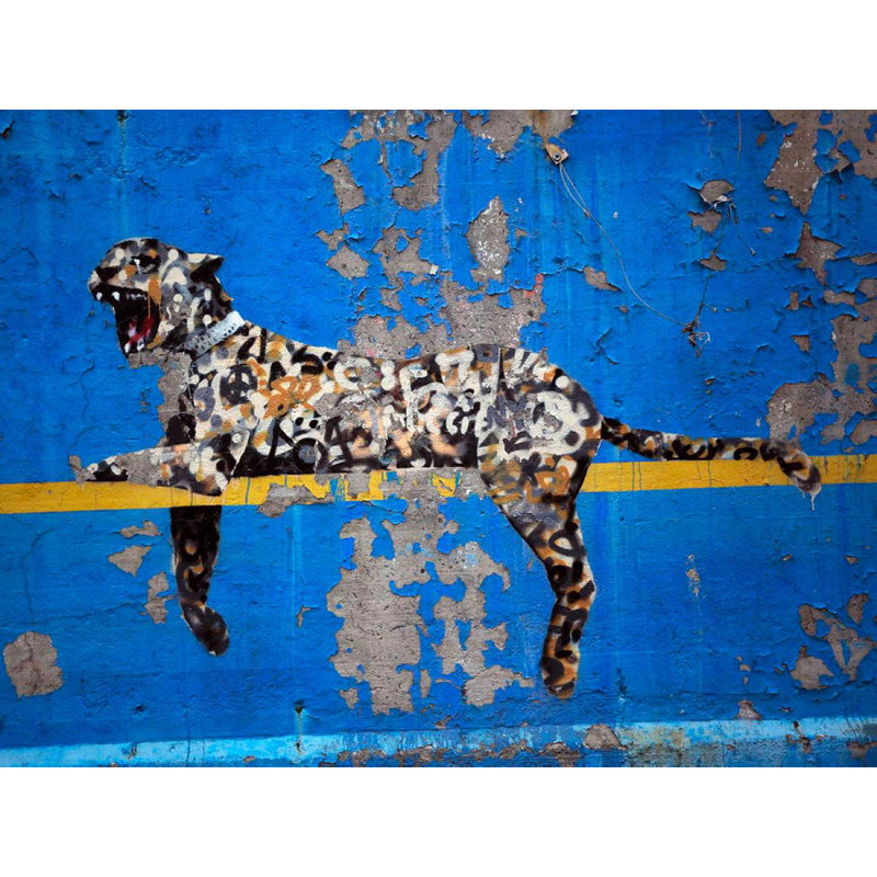 Bronx Zoo Tiger by Banksy - Wrapped Canvas Print, 61 cm H x 81 cm W x 4 cm D
