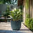 Ocean Round Ceramic Planter-1148683612-1148683618