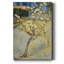 «Pear Tree in Blossom» par J Paul, reproduction d'art sur toile tendue-465281308