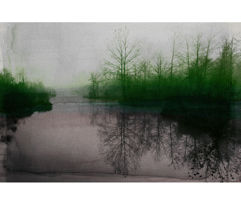 Parvez Taj - Wrapped Canvas Print, 41cm H x 61cm W
