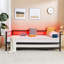 Daybed With Charging Station And LED Lights,Heavy Duty Metal Day Daybed With Pop Up Trundle, No Box Spring Needed-110431118-121846899