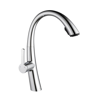 Belfry Kitchen Galilee Pull Out Kitchen Faucet