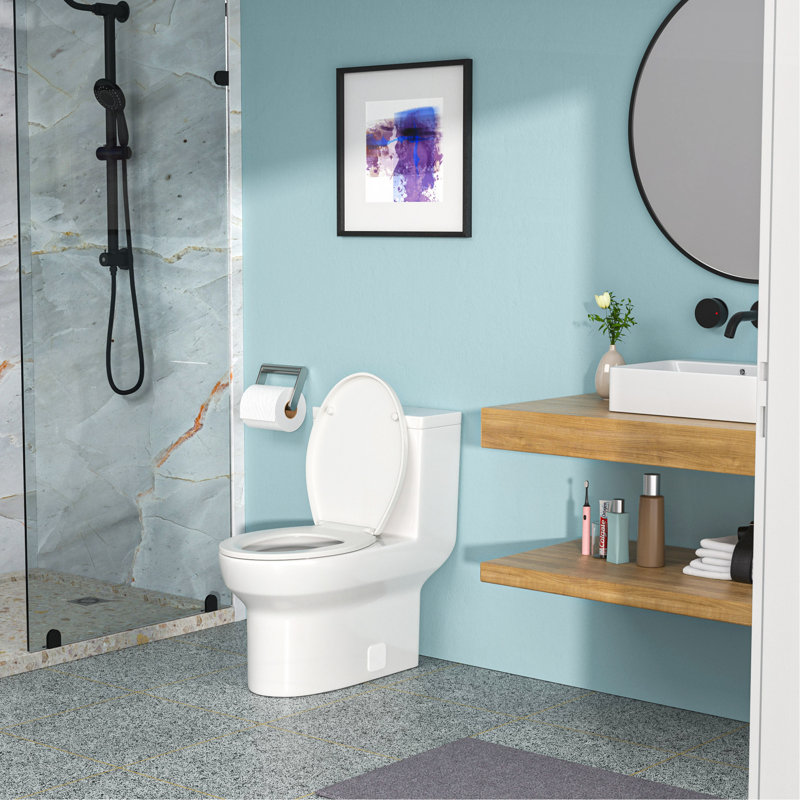 Ceramic One Piece Toilet