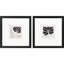 Modern Petals Print by Charron Paragon