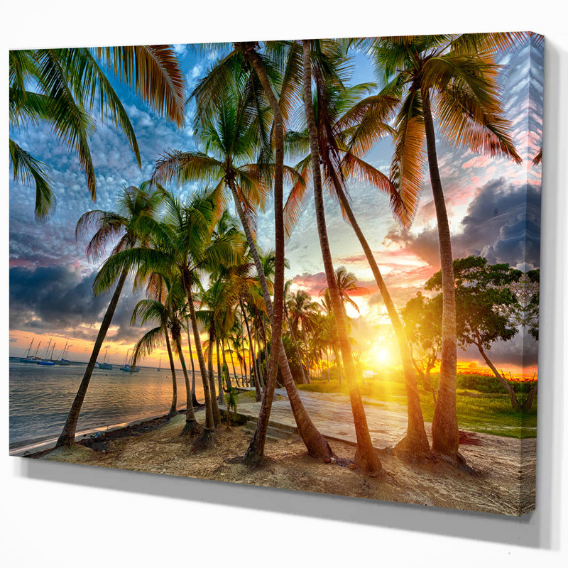 Cocotier-impression d’art graphique sur toile tendue, H 20 po x l 20 po x P 1 po