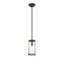 Luminaire suspendu d'extérieur 1 lumière H 10,75 po Fosdick-1564764591