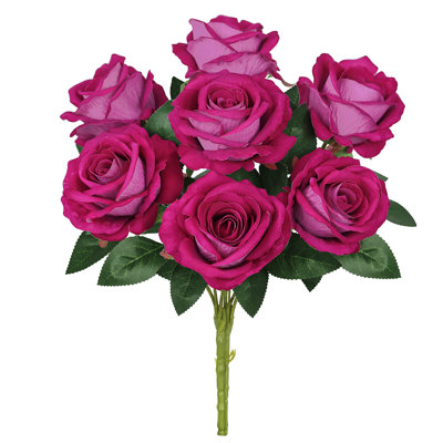 Velvet Rose Bush