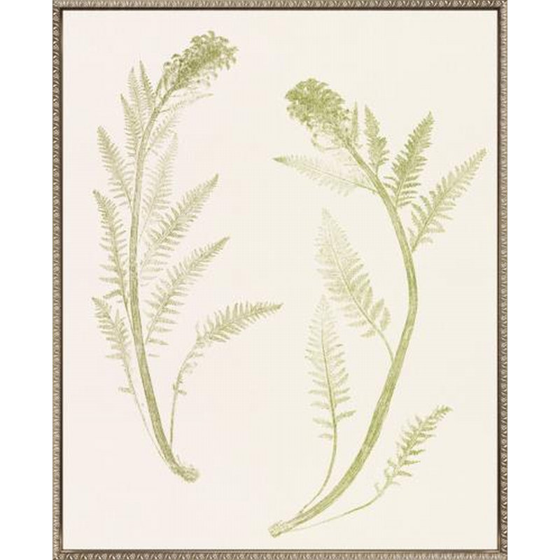 Art floral sur toile Floral Trace II