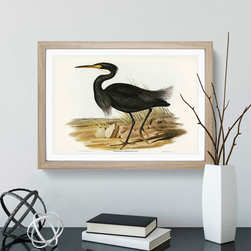 Sombre Egret by Elizabeth Gould - Picture Frame Painting Print, 36cm H x 48cm W x 2cm D, Oak Framed