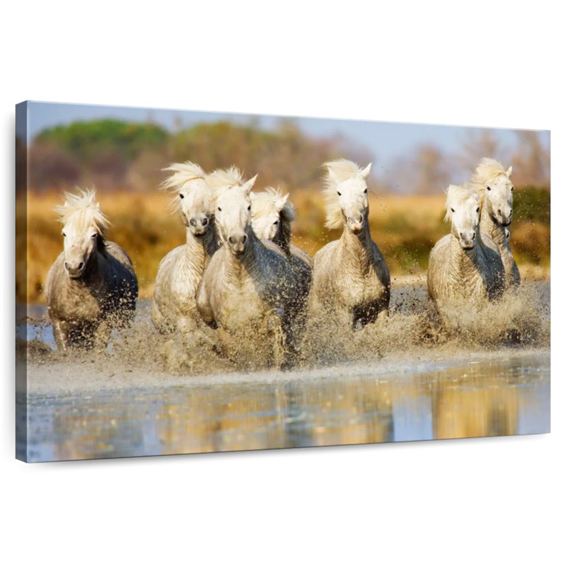 Crowle les chevaux de la Camargue II, H 34 po x l 51 po