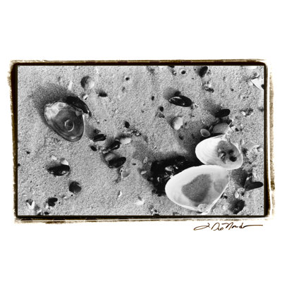 Sand Treasures I by Laura DeNardo - Wrapped Canvas Print