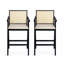 Tabouret de bar en plastique tissé avec dossier en canne - siège en tissu rembourré de mousse et structure en bois d'hévéa durable-976346672