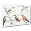 Five Hummingbirds by Johan Teyler - Wrapped Canvas Painting-55363779