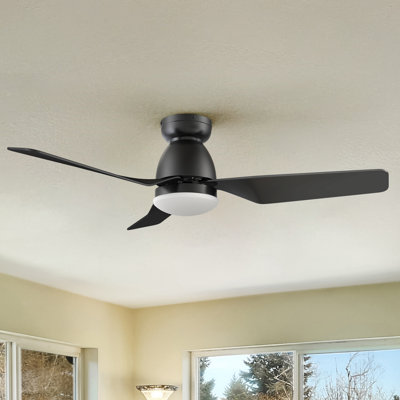 Cynteria 44'' Ceiling Fan with Light