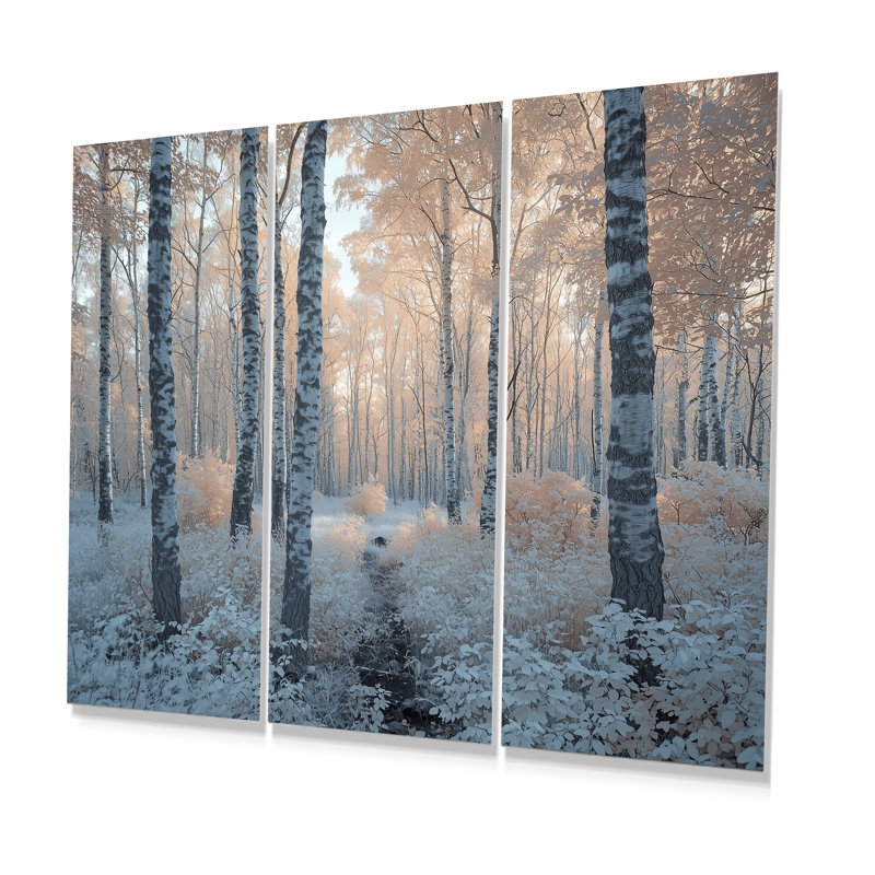 «Winter Birch Woods Forest Photo II - Winter Landscape», ensemble de reproduction d'art mural, Métal métal