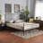 Charee Metal Open-Frame Bed-1631925196