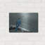 Lark Manor ™ «Winter Jay» par Ron Parker, art mural en métal-1753517241