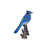 Jay on Branch Statue