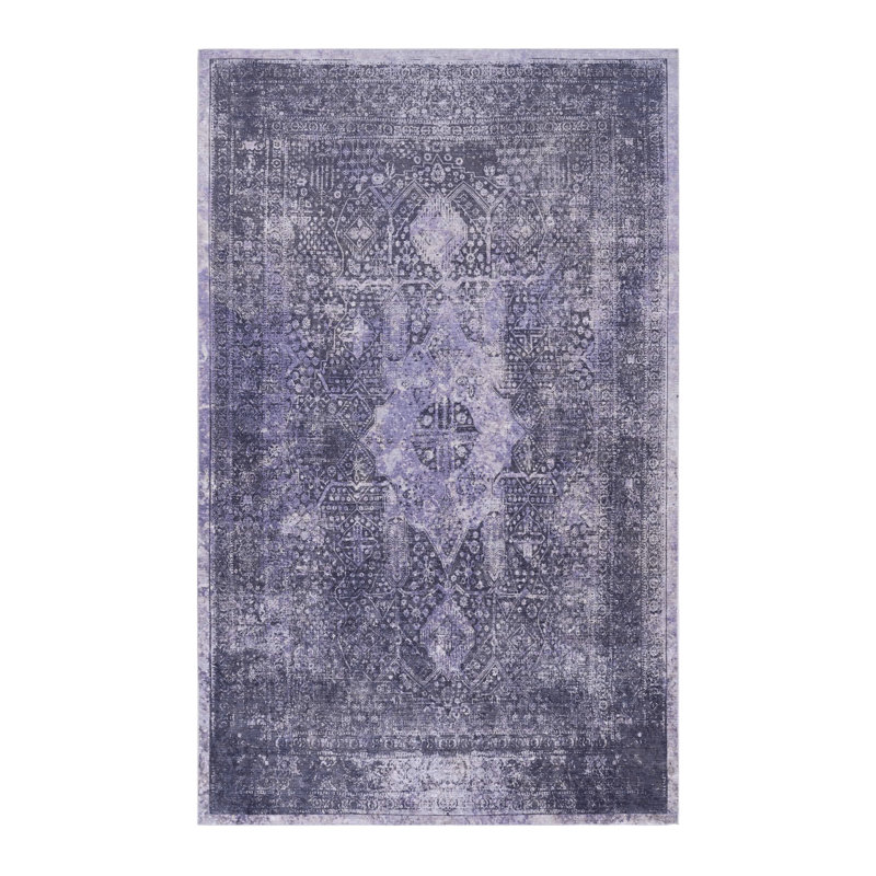 MAVAL Anthracite Washable Rug 2' X 3' Doormat Rug (Anthracite, 2' X 3'), Rectangle 2' x 3'