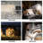 3Color Under cabinet lighting,58LED Touch Screen Control Closet Lights