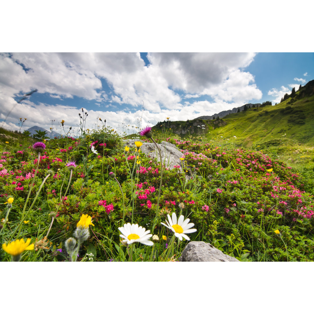 Sommerwiese von Landschaftsfoto - Ohne Rahmen auf Leinwand