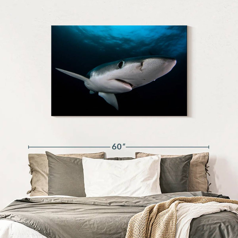 Brampt Underwater Blue Shark, 30" H x 45" W