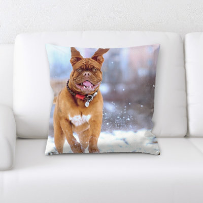 Aiden Microsuede Reversible Throw Pillow