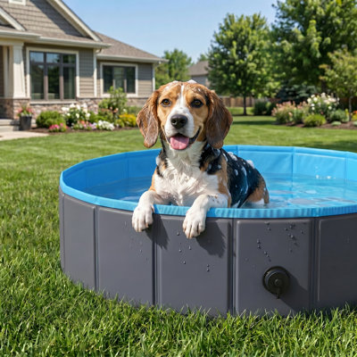 30cm H x 100cm W x 100cm D Dog Pool