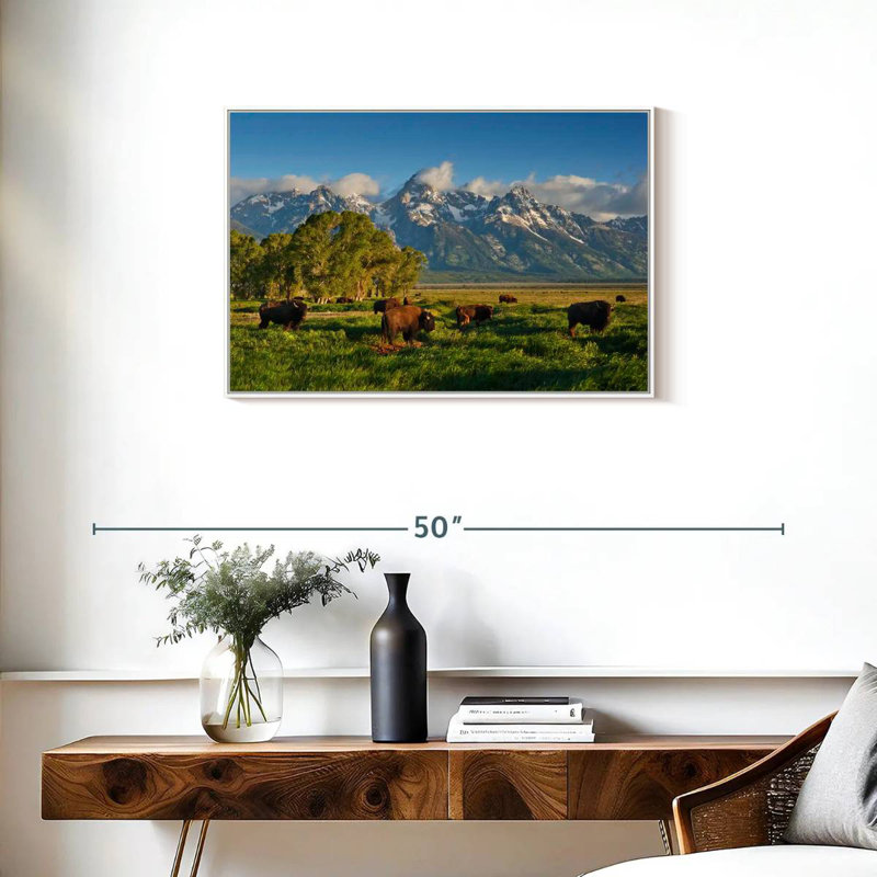 Bison de Grand Teton, Cadre flottant blanc, 31 po x 21 po