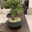 Customer photo 4 of 4