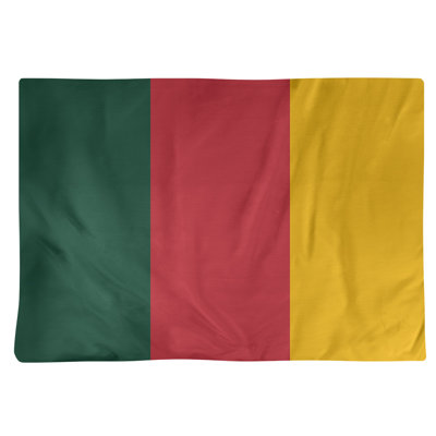 Récapitulatif 14" hockey Minnesota