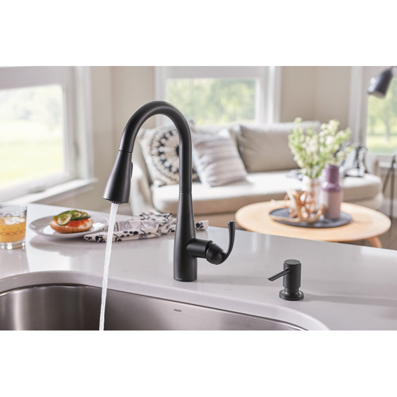 Moen Essie Pull-Down Kitchen Faucet with Power Clean Technology and Soap Dispenser, Matte Black