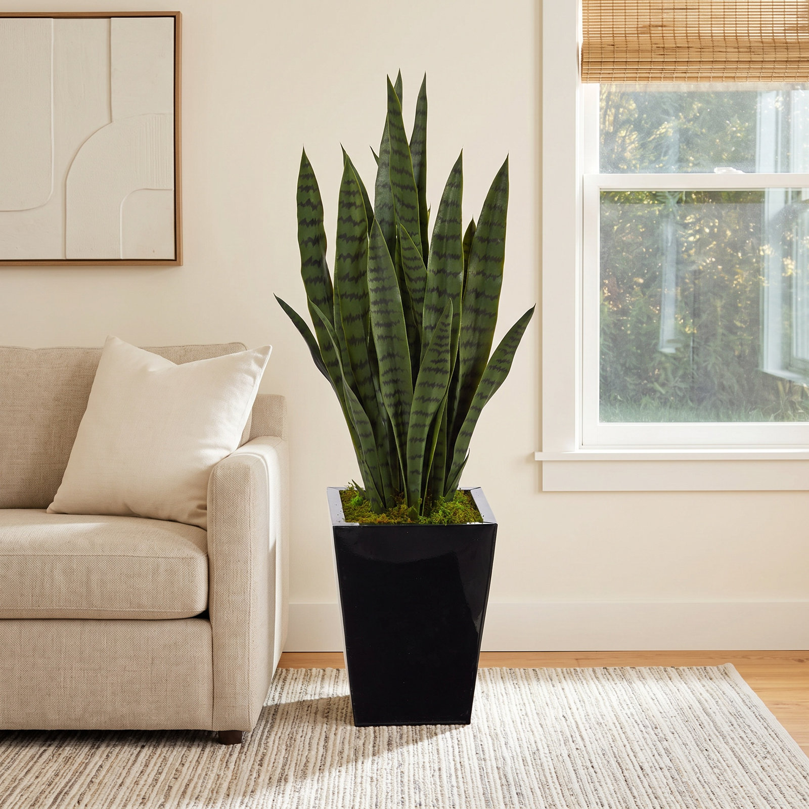 40 " Snake Plant in Planter