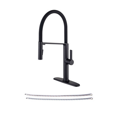 Rainlex Pull Out Kitchen Faucet