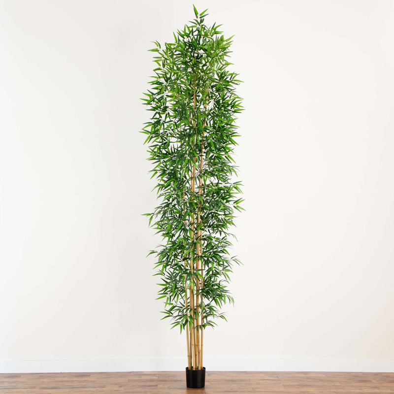 144 po. Faux bambou en pot
