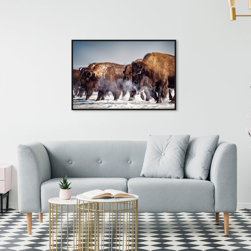 Buffalo Herd In A Snow Landscape Print, 21" H x 31" W, Black Framed