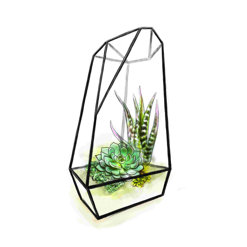Terrarium, H 36 po x l 36 po