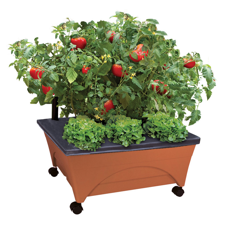 Vivas Plant Stand