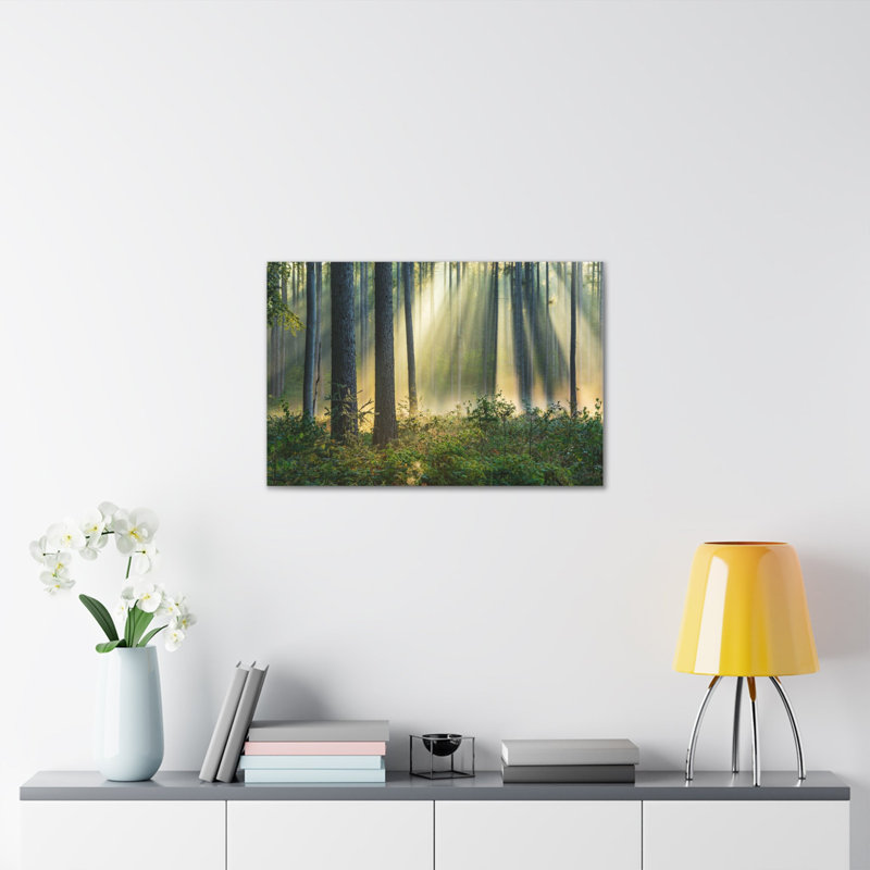 «Sunrise Green Forest Nature Wilderness», photographie sur toile