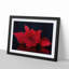 Red Rose Flower - Picture Frame Painting Print-55597829-55597830