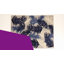 Tapis intérieur / extérieur bleu marine / ivoire / bleu Hernandez-1082272242
