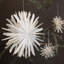 PAPER FLAKE-739921006