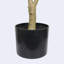 Olive artificielle avec pot-1267324235