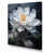 Wrapped Canvas